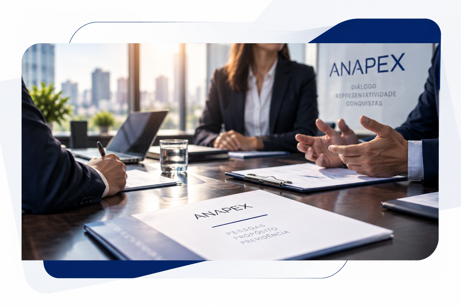 Representação institucional da ANAPEX
